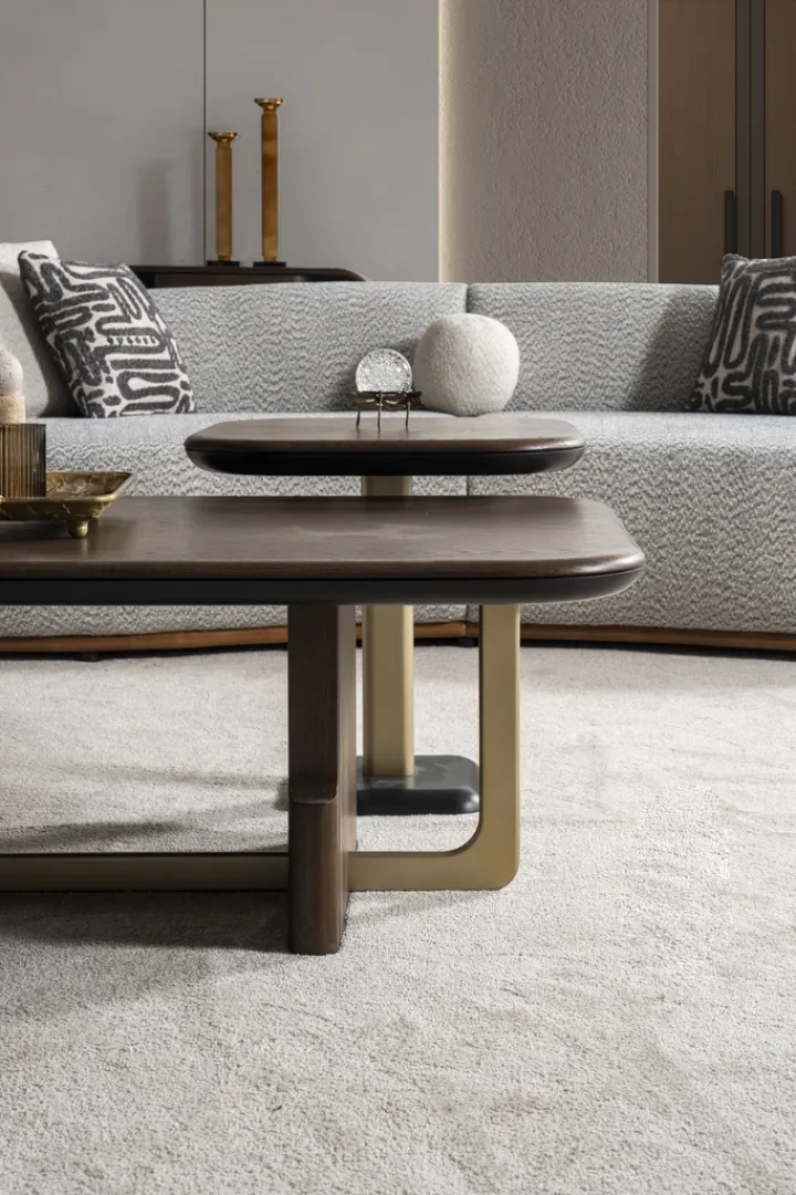 Gues Koltuk Takımı